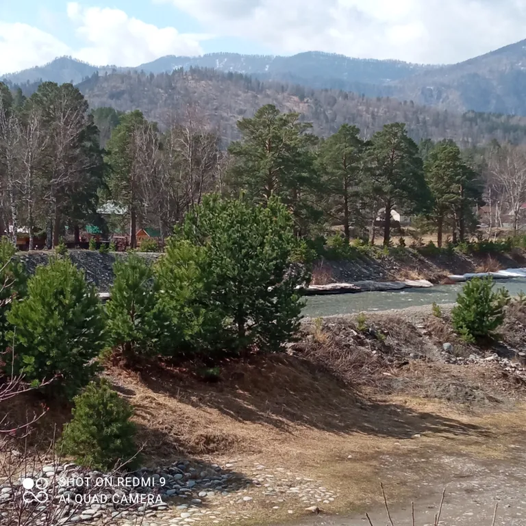 Дом на берегу Чемалки