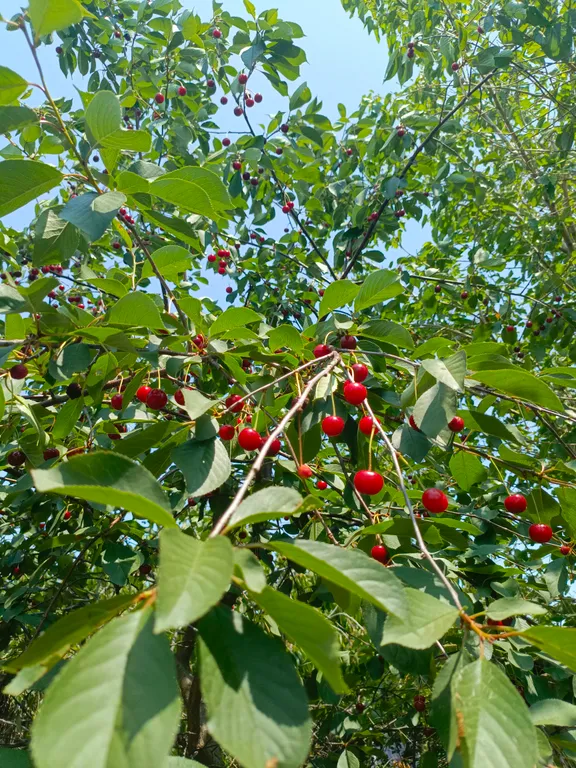 Дом на Азовском море