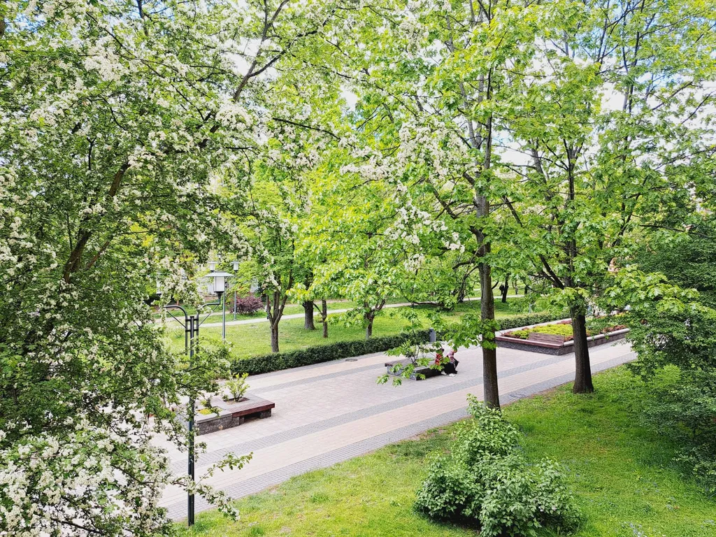 Квартира Квартира в самом центре города — Калининград