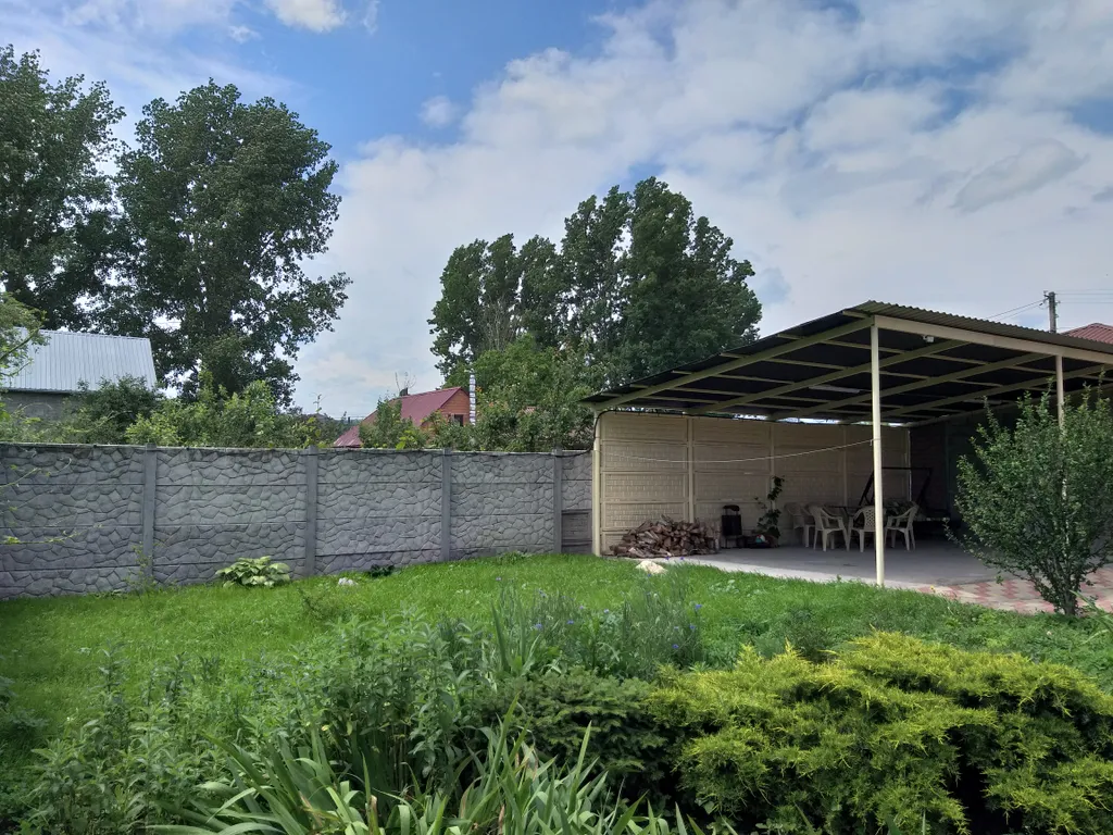 Можжевельник