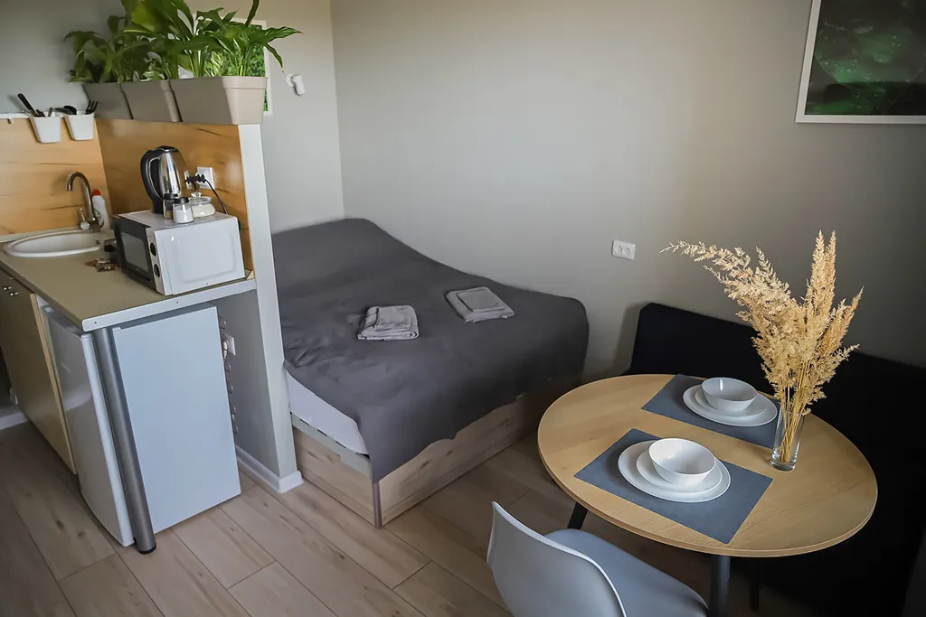 Студия в центре Факел 1