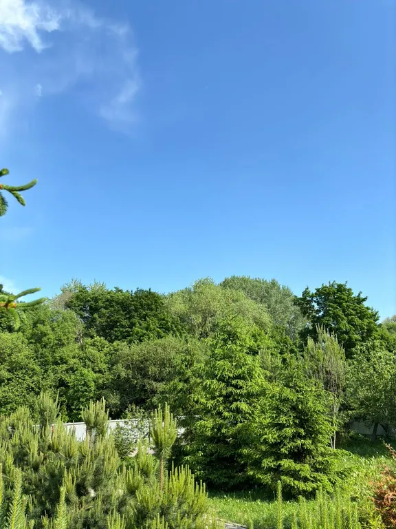 Коттедж 250м