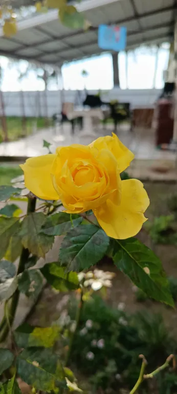 Двухкомнатные апартаменты на берегу моря