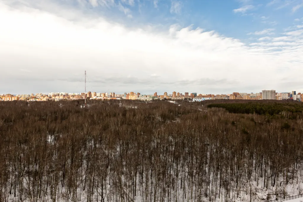 MaxRealty24 Квартира в новом доме Путилково, аэропорт Шереметьево