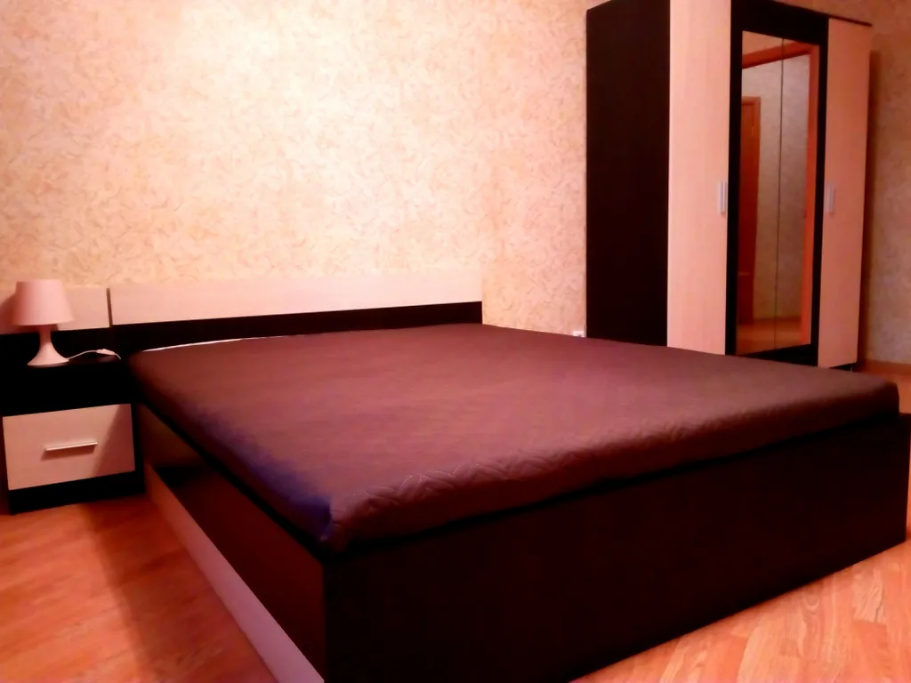 1-комнатная Квартира — аренда посуточно в Балашиха