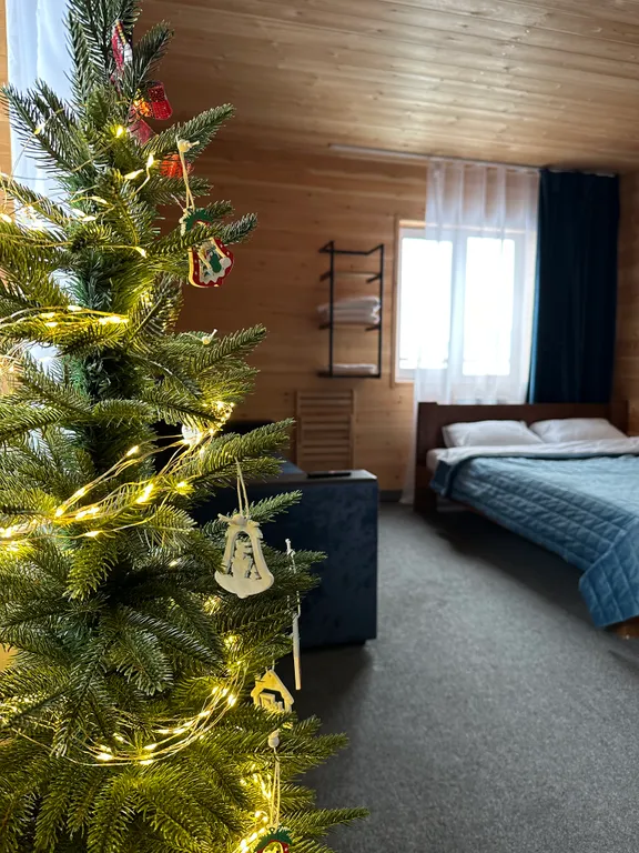 Квартира Апартаменты синие семейные — аренда посуточно в Шерегеш