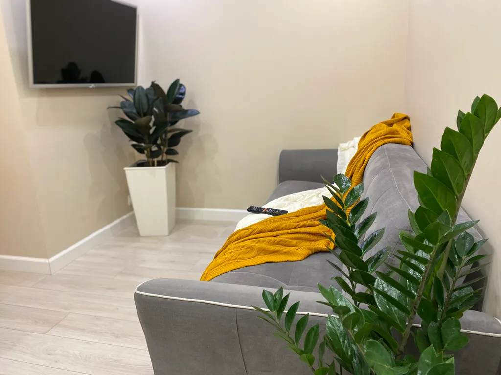 Студия рядом с аэропортом Шереметьево