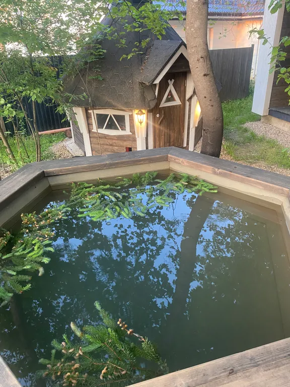 Современный дом в лесу