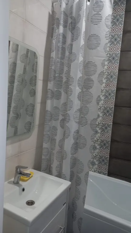 Уютная студия с видом на можжевёловый лес