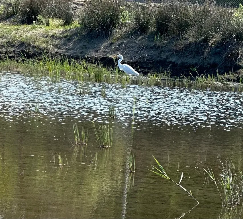 Домик у моря