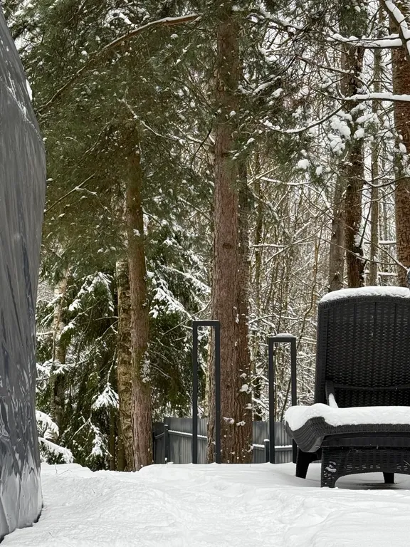 Новая сфера для глэмпинга Бёрд&Self vibe с дизайнерским интерьером