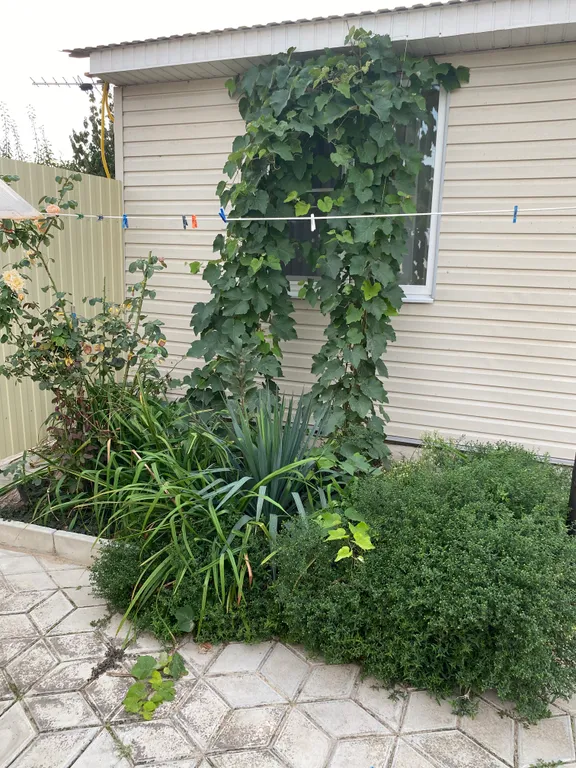 Дом под ключ