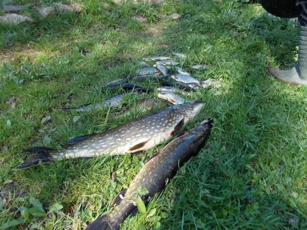 Заимка Остров: уютный домик для отдыха и рыбалки