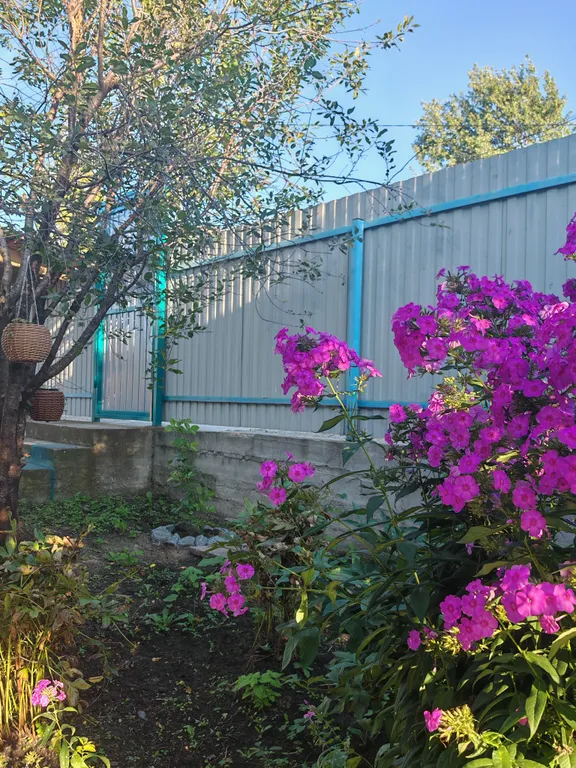 Домик в предгорье горы "50 лет"