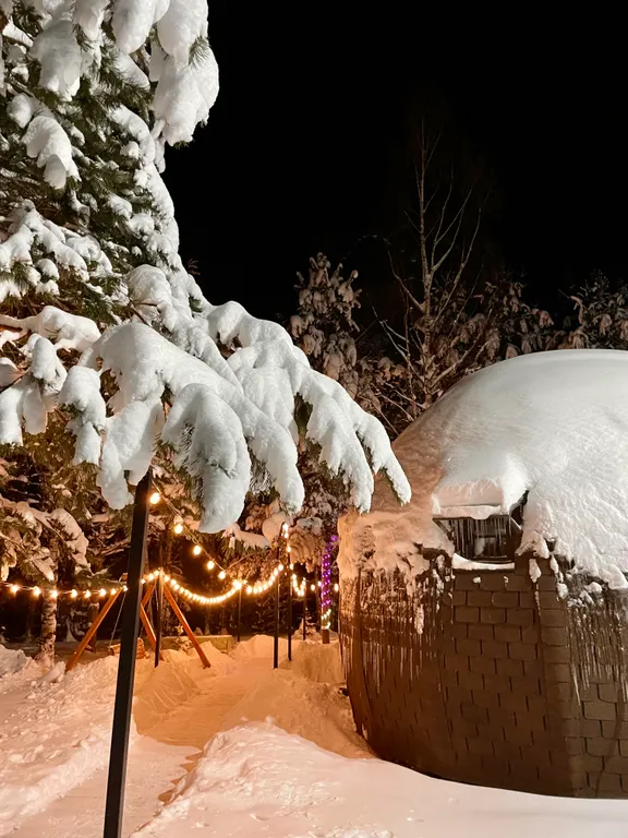 Уникальный купольный дом среди хвойного леса