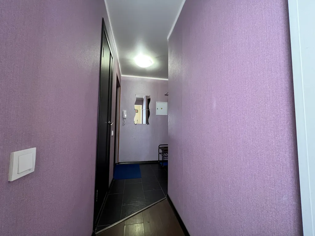 1-комнатная квартира в деловом и историческом центре города с новогодней елкой