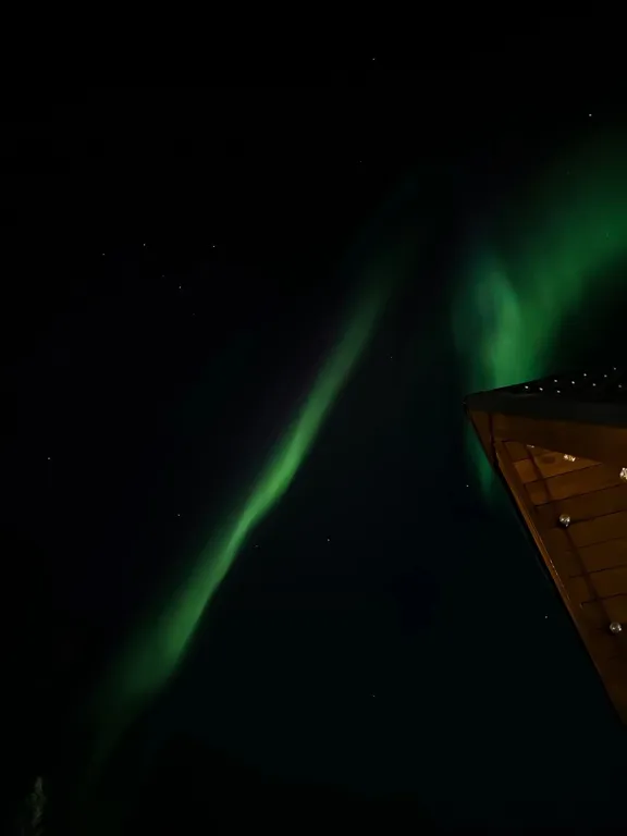 Сказочный дом для отдыха с панорамной банькой на дровах Hygge House