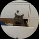 Юлия