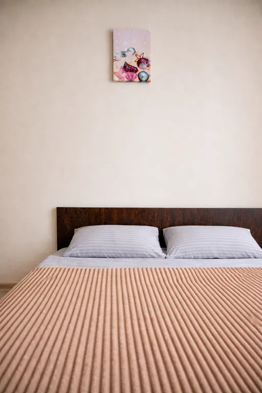 Просторная квартира для командировок и рабочих поездок