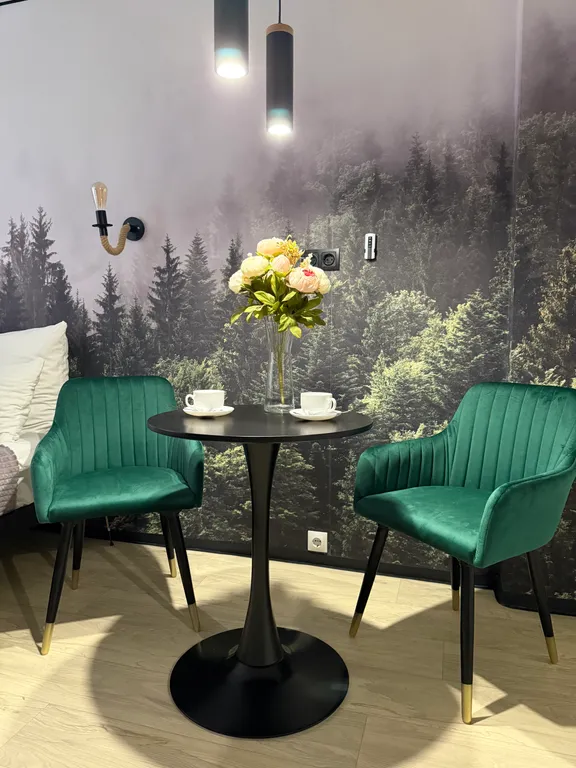 Туманный лес студия