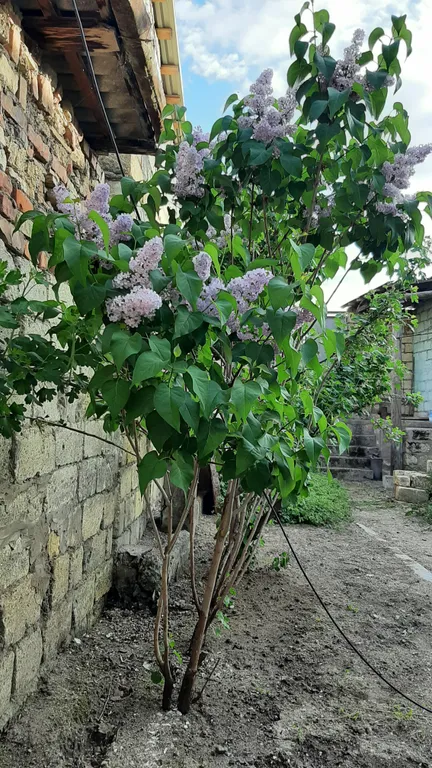 Коттедж Домик у Моря в шаговой доступности — Дербент