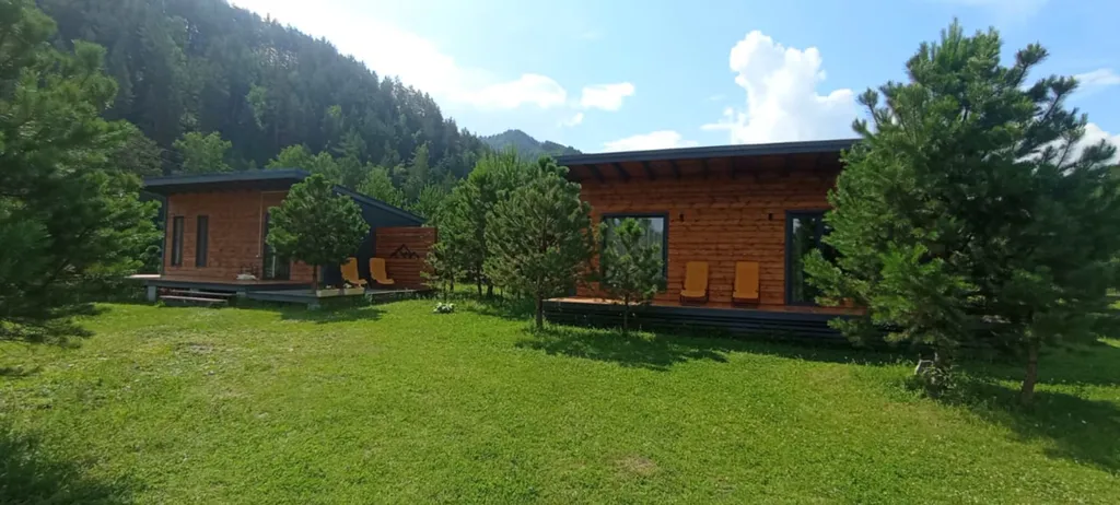 Отдых в живописном месте Алтая