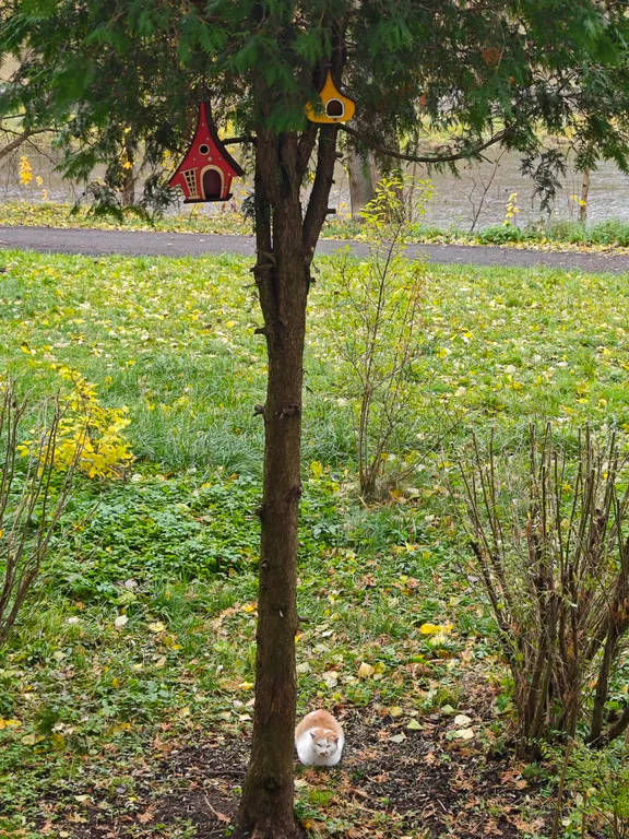 Современная однокомнатная квартира на набережной Двины