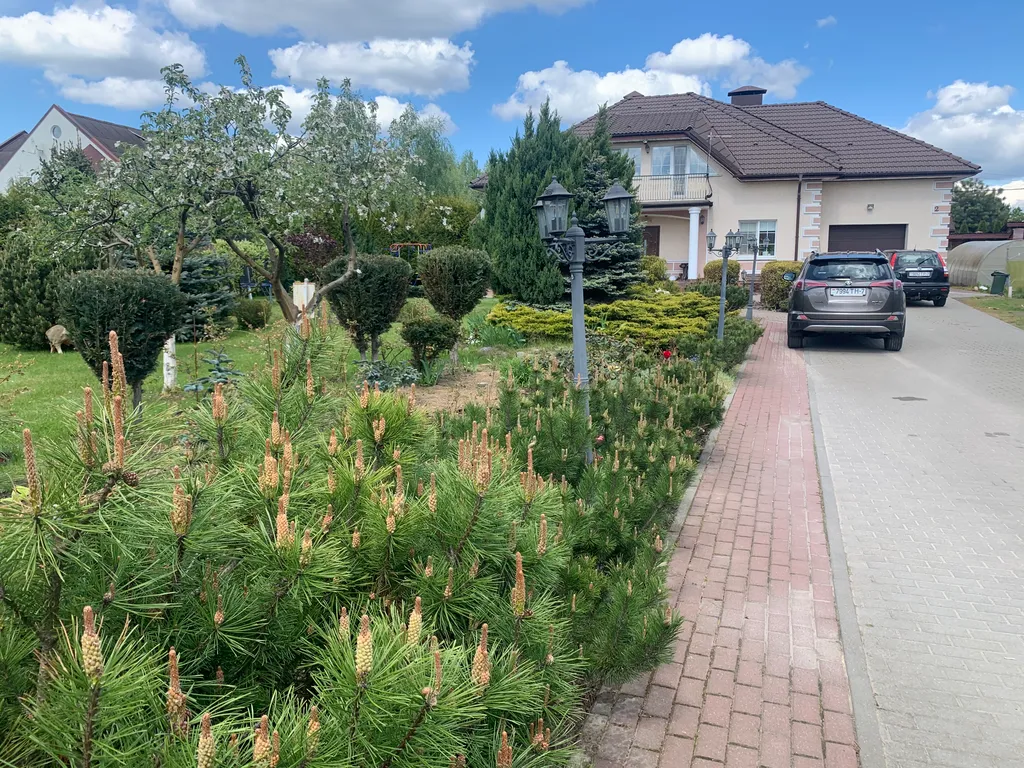 Красивый гостевой дом с баней на дровах возле Минского Моря