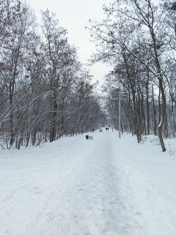 Квартира Уютная квартира рядом с трассой м4 — Воронеж