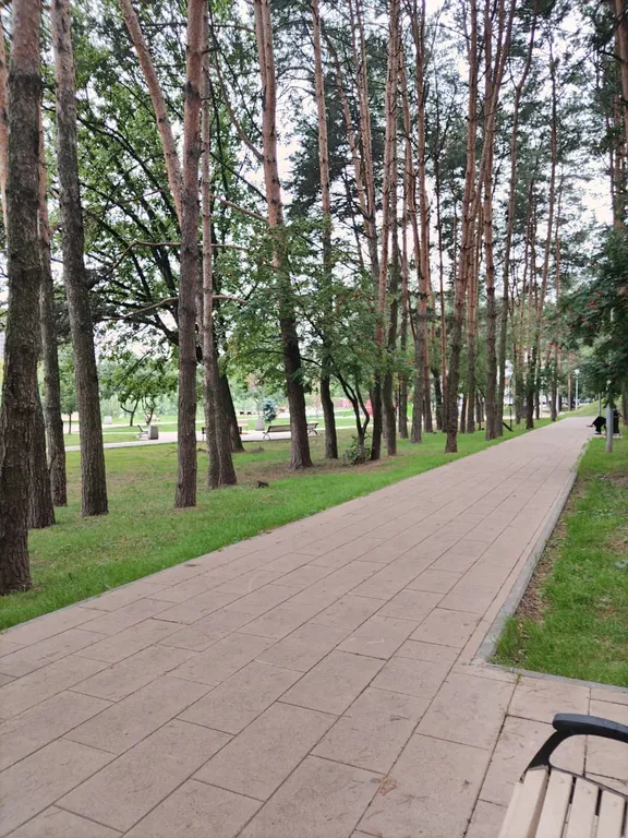 Просторная квартира в центральной части города, возле соснового парка