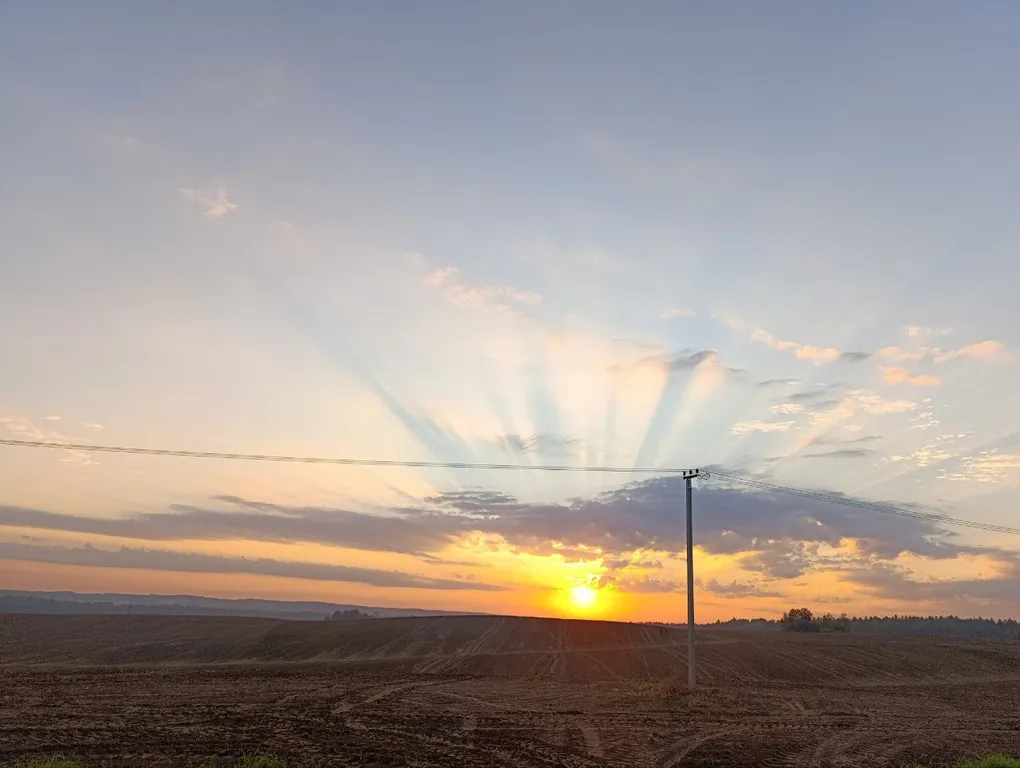 Дом с видом на лес
