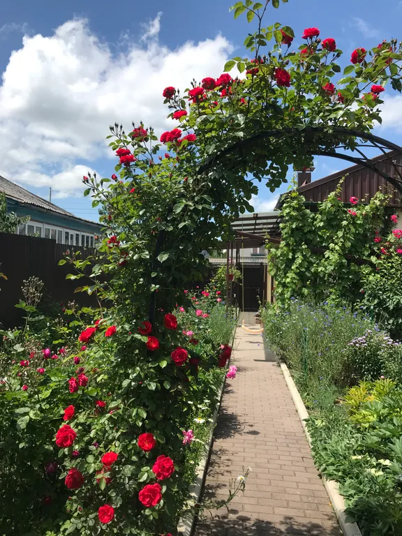 Коттедж Домик с цветущим садом — Кисловодск