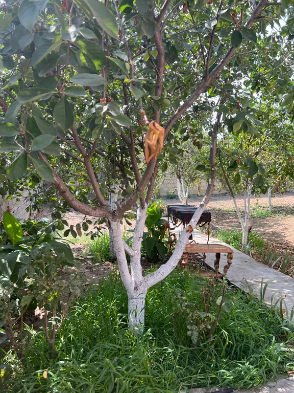 Уютная семейная дача