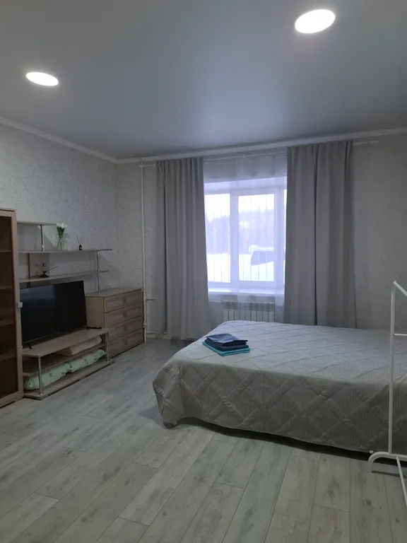 Уютная студия на Заринской