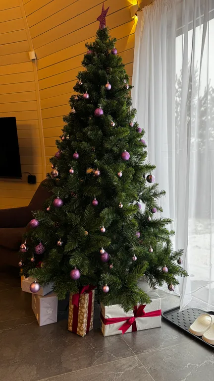 Дом-сфера на первой линии озера