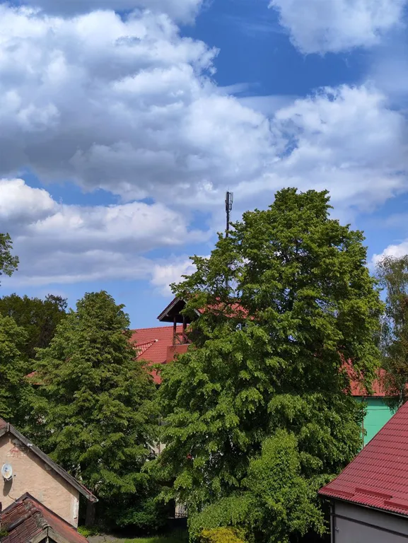 Квартира Уютные апартаменты в центре города — Светлогорск