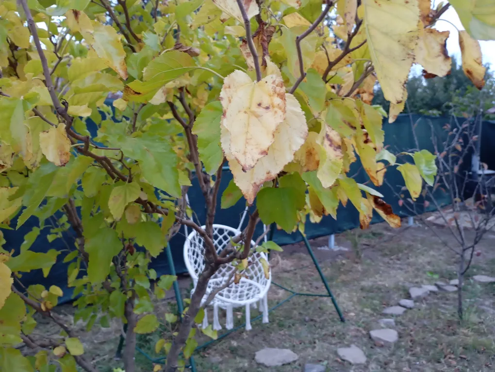 Дом за Дериглазова с баней и чаном