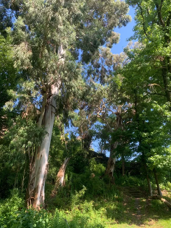 Апартаменты "Африка" в 300 м от песчаного пляжа, свой двор и мангал