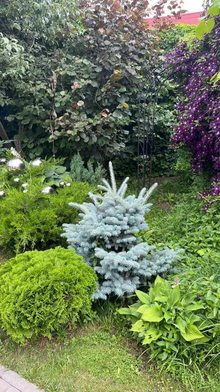 6-комнатный Дом