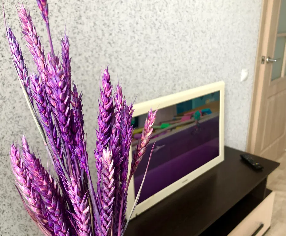 Уютная квартира в центре левого берега