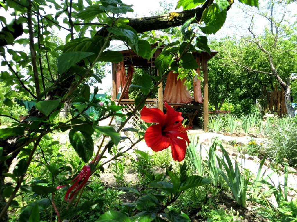 Коттедж Уютный индивидуальный домик в пригороде — Доброе