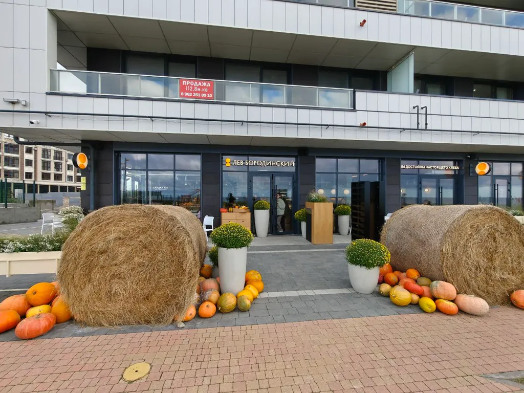 К. Малевич люксовый апартамент с выходом к Морю