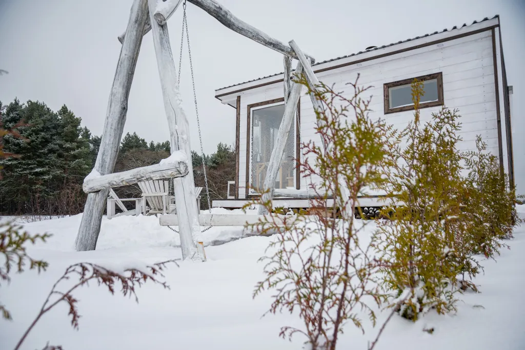 Коттедж Дом-дача Ромашки — Луховицы