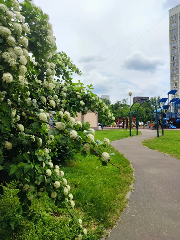 Квартира Свежая просторная трёхкомнатная квартира ВДНХ — Москва