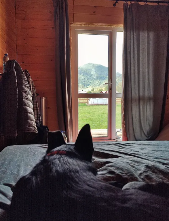 Гостевой номер для двоих