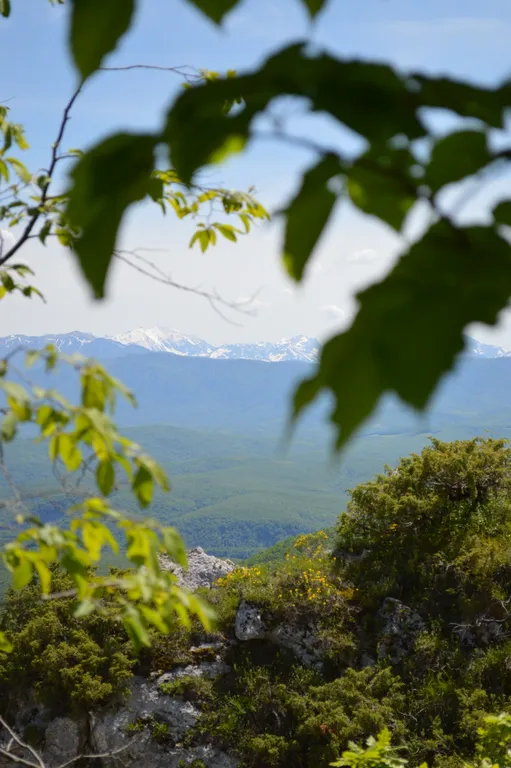 Коттедж Отдых от городской суеты в Адыгеи, домик в лесу А-фрейм — Веселый