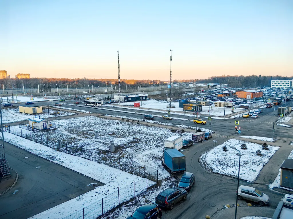 Евродвушка Дельфины Попугаи