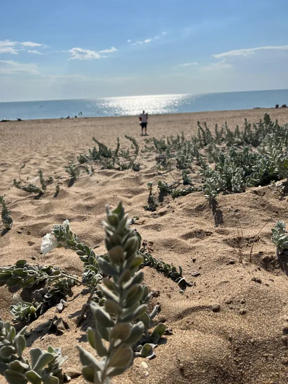 Домик на первой береговой линии