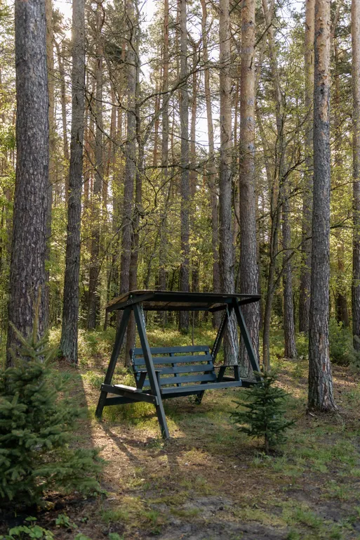 Треугольный дом в лесу Gray