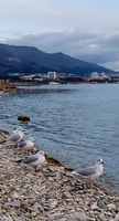 Инна Мирошникова